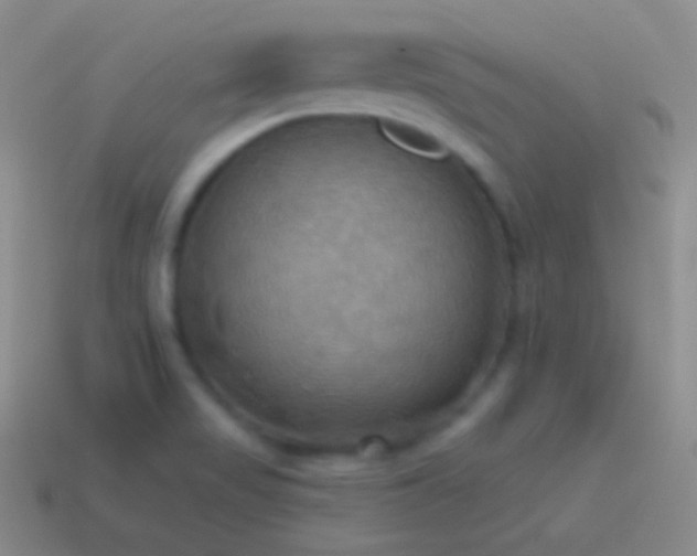 X0000115591517200911101228