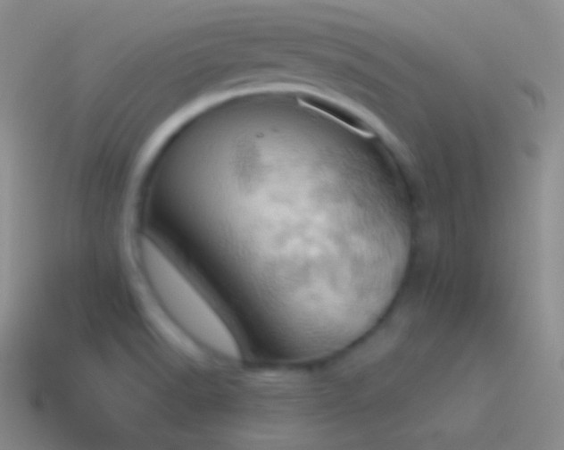 X0000115591518200911101228