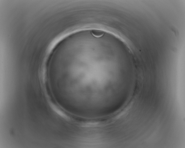 X0000115591519200911101228