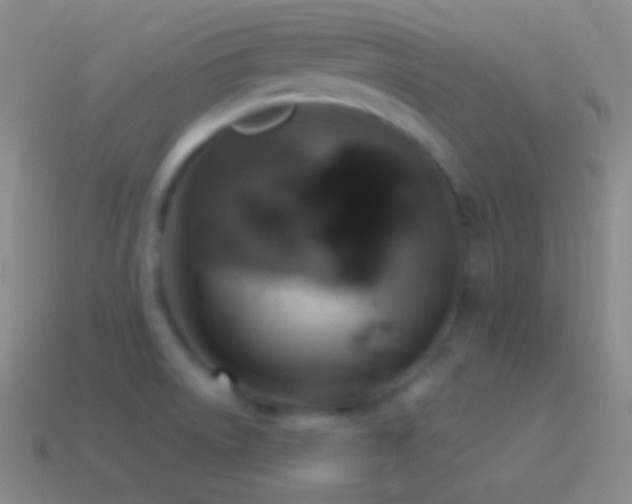 X0000115591522200911101228