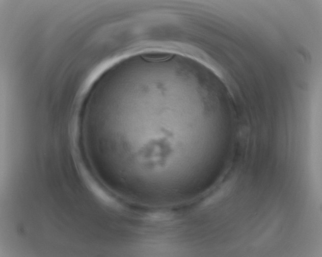 X0000115591523200911101228