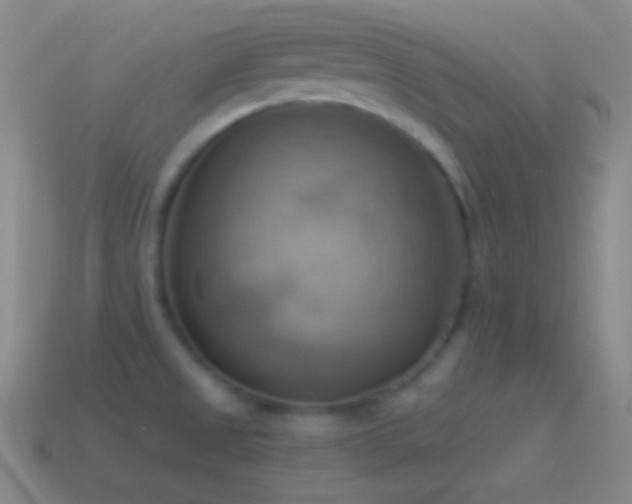 X0000115591525200911101228