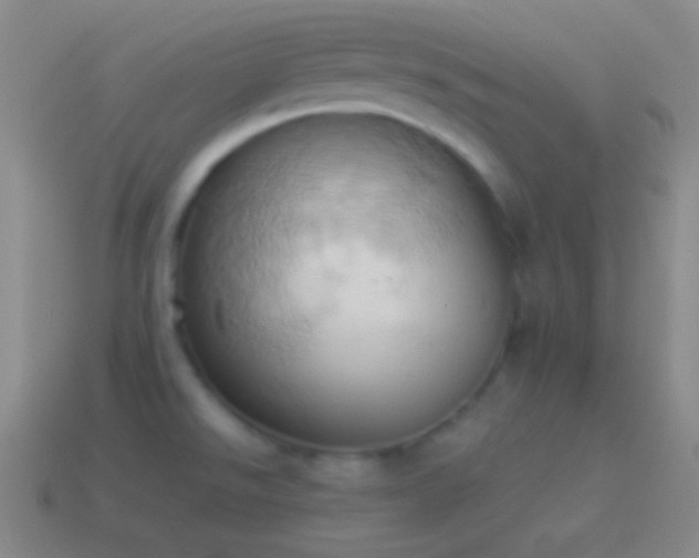 X0000115591526200911101228