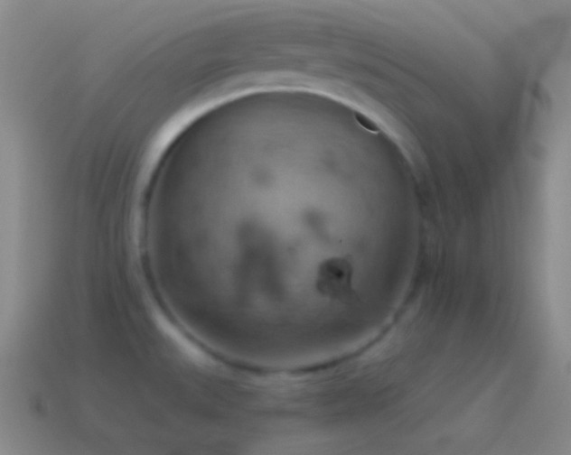 X0000115591527200911101228