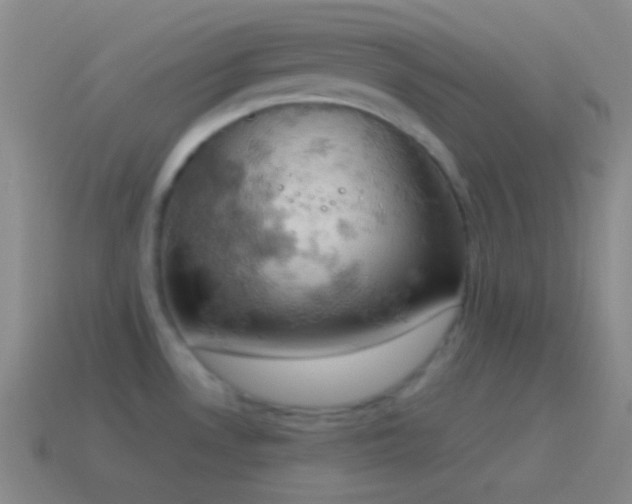 X0000115591530200911101228