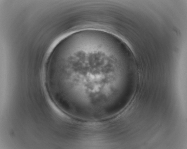 X0000115591531200911101228