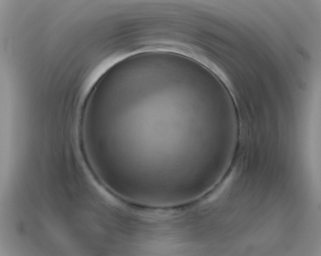 X0000115591533200911101228