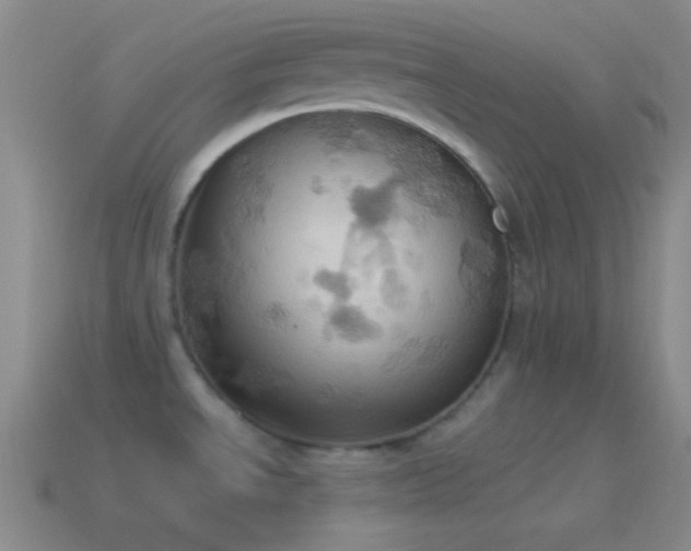 X0000115591534200911101228