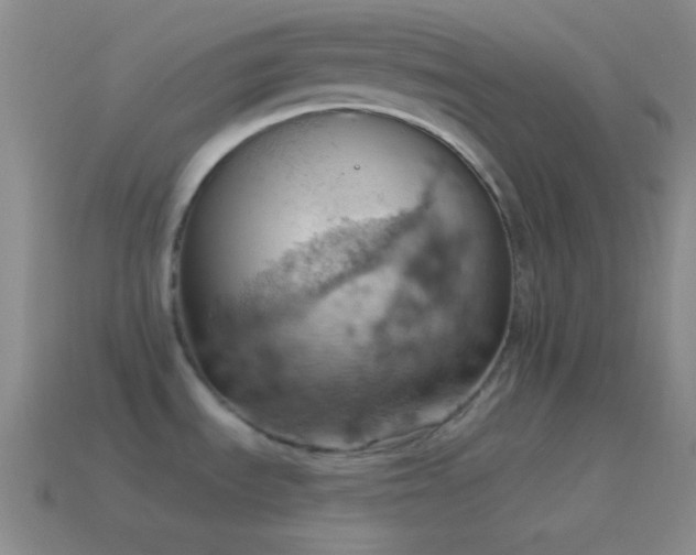 X0000115591535200911101228