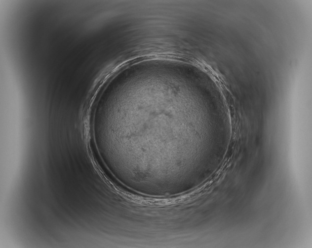 X0000115590002200911171039
