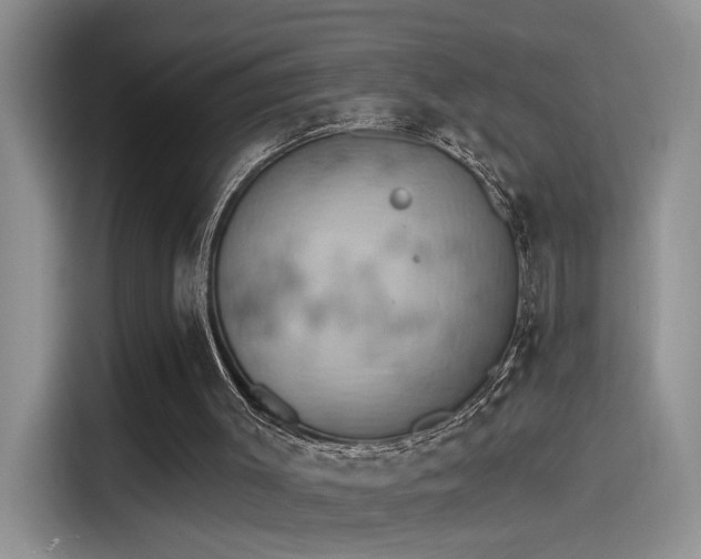 X0000115590003200911171039
