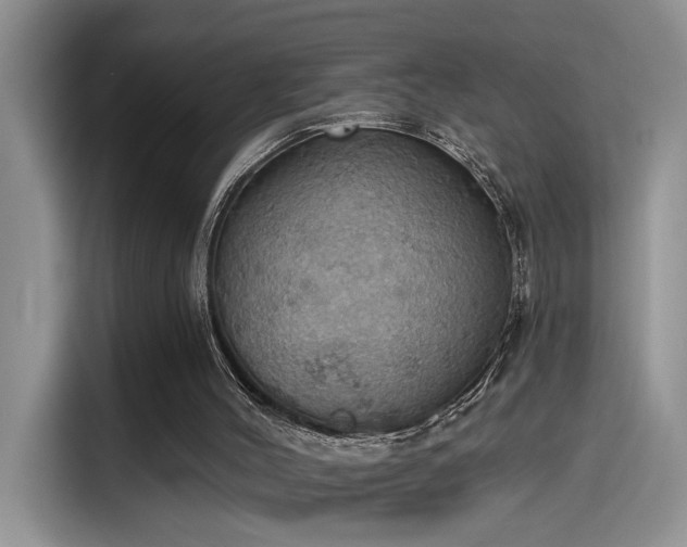 X0000115590004200911171039