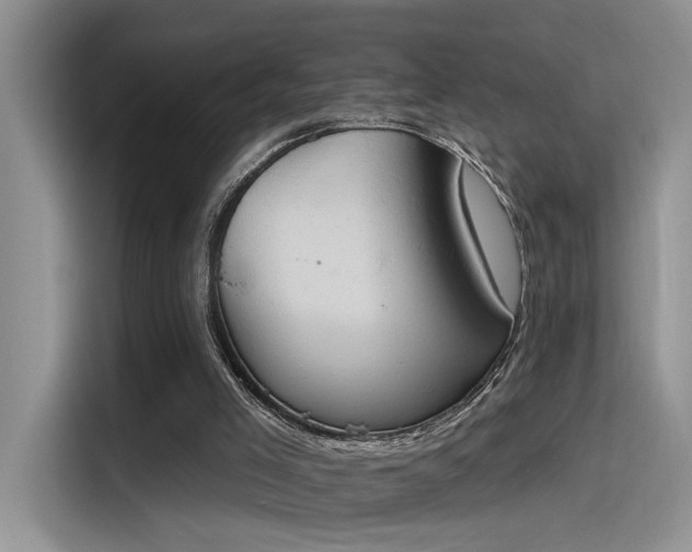 X0000115590005200911171039