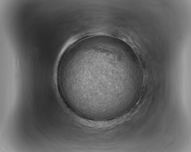 X0000115590006200911171039
