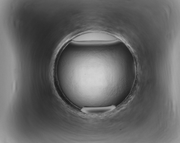 X0000115590007200911171039