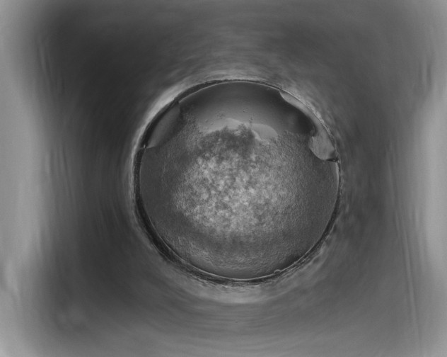 X0000115590008200911171039