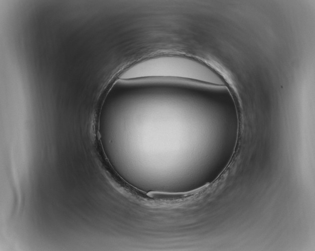 X0000115590009200911171039