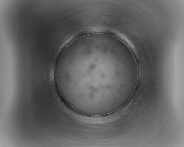 X0000115590010200911171039