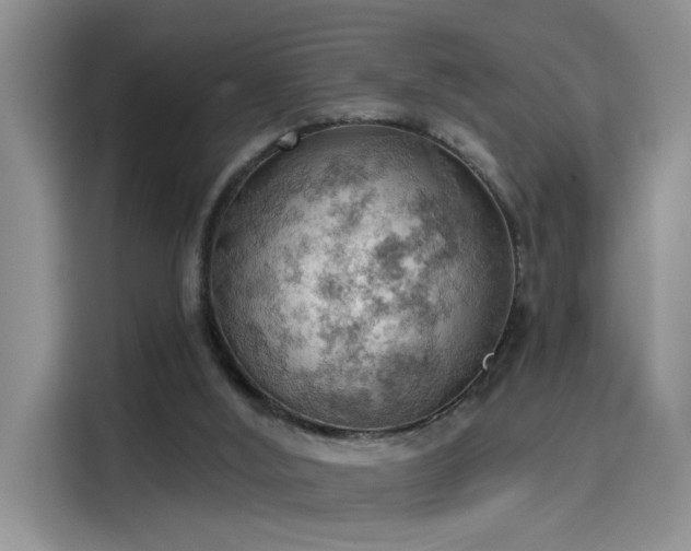 X0000115590012200911171039