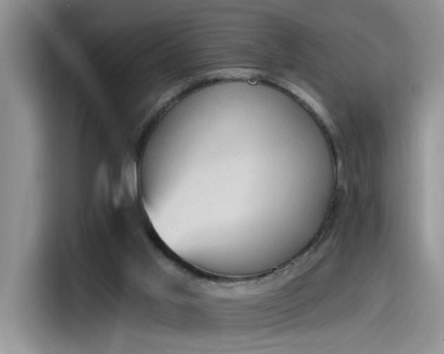 X0000115590013200911171039