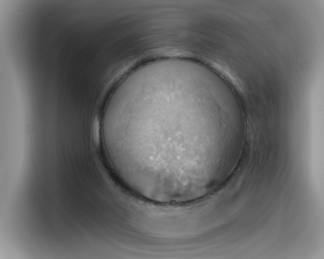 X0000115590014200911171039