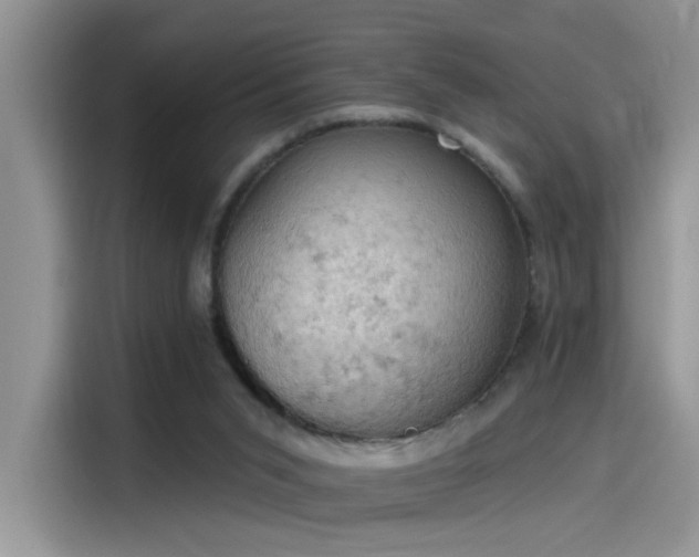X0000115590015200911171039