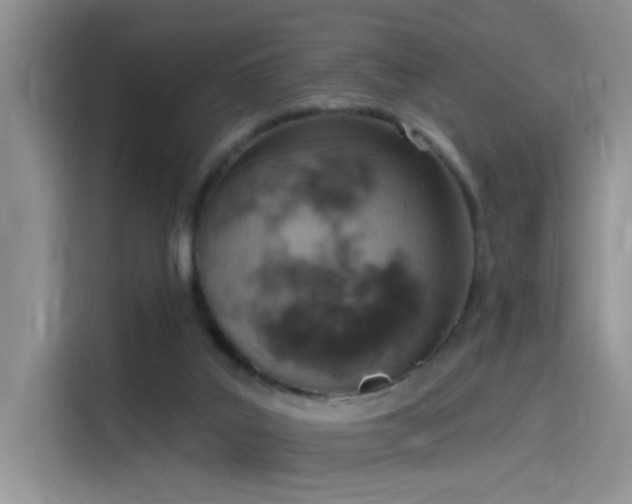 X0000115590019200911171039