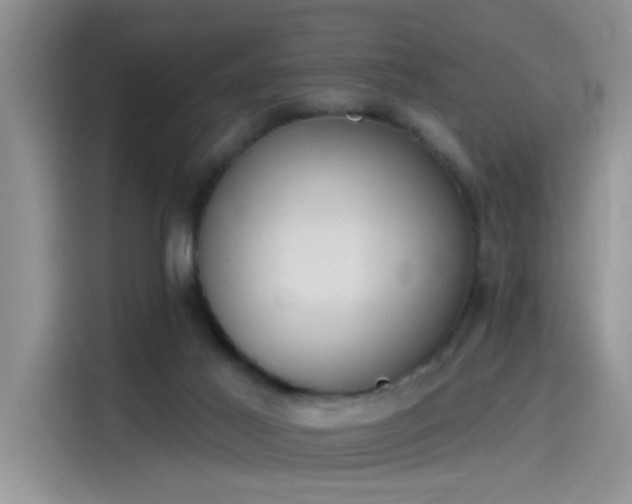 X0000115590021200911171039