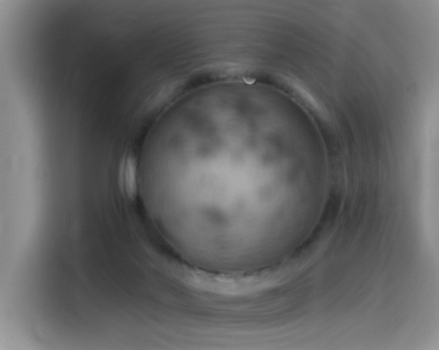 X0000115590022200911171039