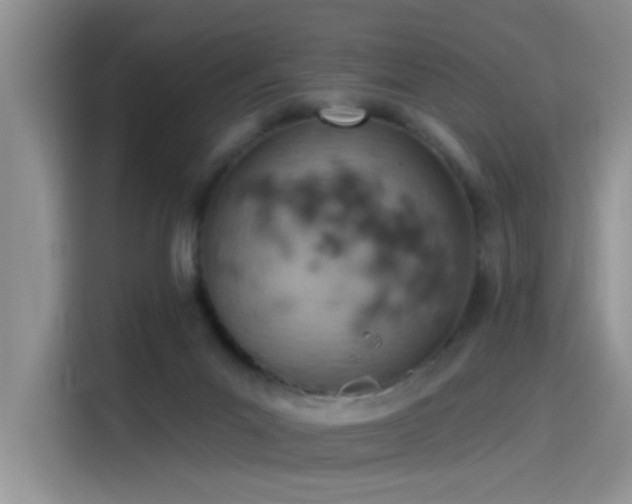 X0000115590023200911171039