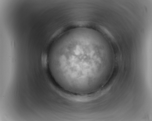 X0000115590024200911171039