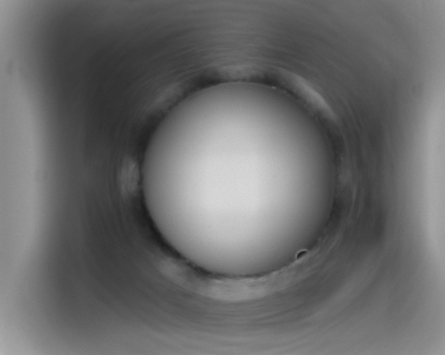 X0000115590025200911171039