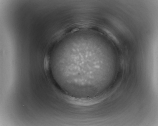 X0000115590026200911171039