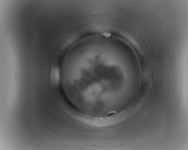 X0000115590027200911171039
