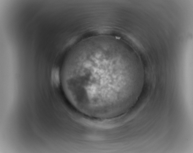 X0000115590028200911171039