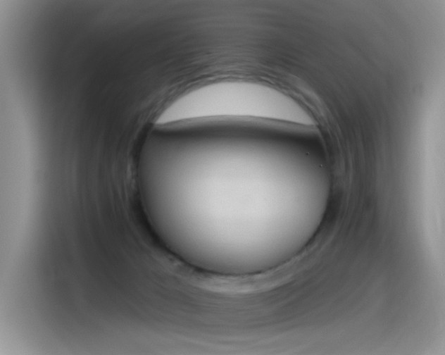 X0000115590029200911171038