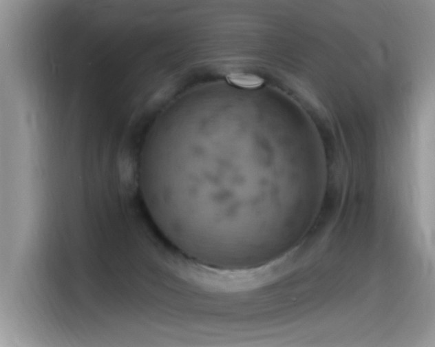 X0000115590031200911171038