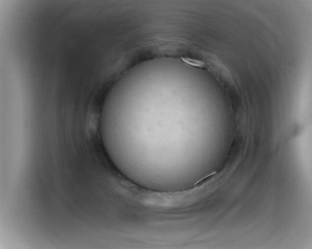 X0000115590033200911171038