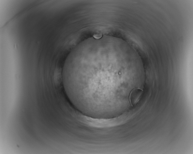 X0000115590034200911171038