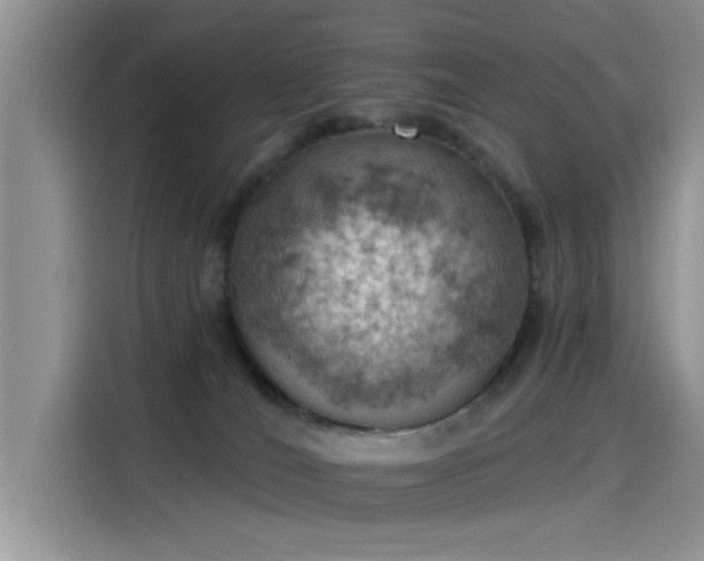 X0000115590036200911171038