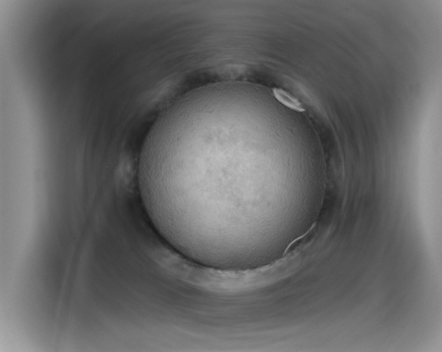 X0000115590037200911171038
