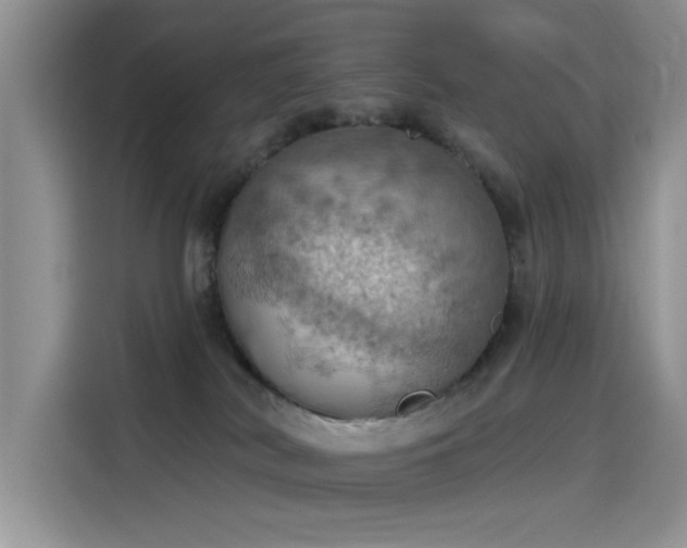 X0000115590038200911171038