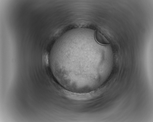 X0000115590042200911171038