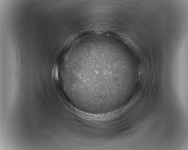 X0000115590046200911171038