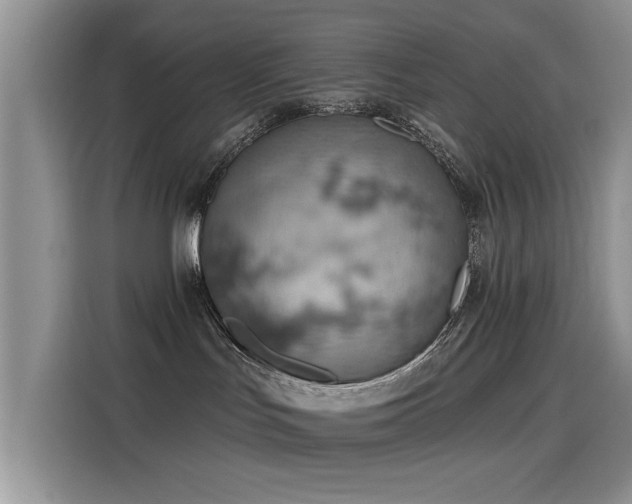X0000115590047200911171038