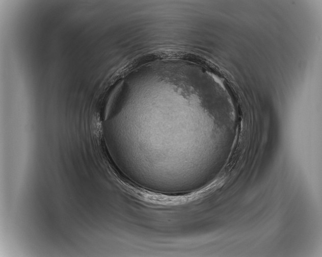 X0000115590048200911171038