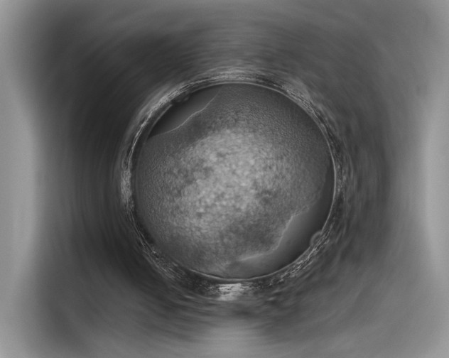 X0000115590050200911171038
