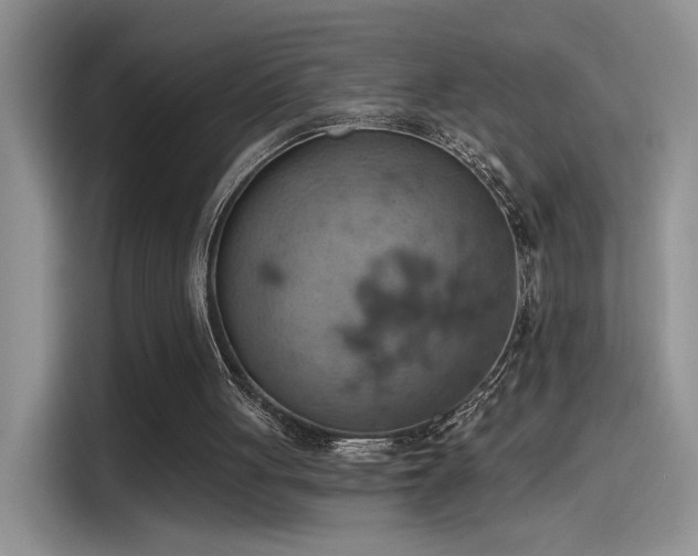 X0000115590051200911171038