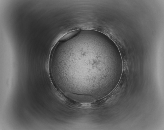 X0000115590052200911171038