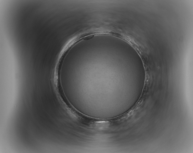 X0000115590053200911171038